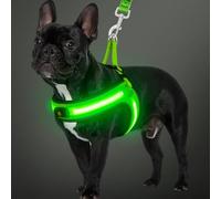 BiPawTi Light Up Dog Harness Glows in the Dark, Flashing Dogs Safety Pet Vest with 3 Lighting Modes for Night Walking, USB Rechargeable, Step in LED Vest Harness for Outdoor Walking/Camping, Green - S
