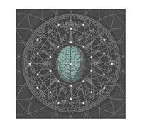Bipolar Architecture - Metaphysisize [VINYL]