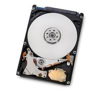 Bipra 500gb 500 gb 2.5 Inch SATA Laptop Internal Hard Drive 5400 RPM 8MB Cache For Laptop/Mac/PS3 (500GB)