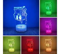 BIRBANN Argentina Football Player #10 Night Light for Boys,7 Color Changing Dimmable with Remote Room Soccer Decor,Desk Lamp for Football Fans Kids Teens Men Birthday Christmas Gifts