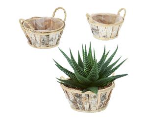 Birch Bark Wooden Indoors Balcony Fibre Foil Lining Rattan Set Handles Plants