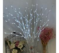 Birch Branch LED Twig Lights Warm Light 20 Lights 30 Inch