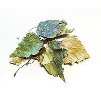 Birch Leaves Food for Shrimp Snails Plecos Nerites Ramshorns (10g)