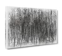 Birch Tree Forest Vol.2 Sketch Canvas Print | Gallery Wrapped 30mm Frame Wall Art | 30x20 inches | Ready to Hang | Modern Landscape Picture | Living Room Bedroom Lounge Office