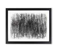 Birch Tree Forest Vol.2 Sketch Modern Art Framed Wall Art Print, Ready to Hang Picture for Living Room Bedroom Home Office Décor, Black A4 (34 x 25 cm)