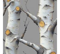 Birch Tree Self Adhesive Wallpaper 3D Grey Forest Branch Contact Paper Peel and Stick Wallpaper Thicken Waterproof Matte with Sticky Back Canvas Wall Cabinets Furniture Stickers Decorate 0.52×10 m
