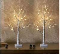 Birch Tree with Light with a Solid 10x10 Base and 60cm Height. It has 24 LED Warm White Lights. It can be Operated by USB Cable (Included) or Battery.
