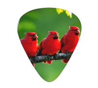 Birch Trees Guitar Picks Set-Premium Abs Material,Various Thicknesses-Enhance Your Playing Experience