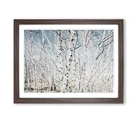 Birch Trees In Utah In Abstract Modern Art Framed Print | A3 Walnut Framed Wall Art | Ready to Hang | Abstract Floral Picture | Living Room Bedroom Lounge Office