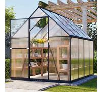 Birchtree 6X8Ft Polycarbonate Greenhouse Walk-In Green House Aluminium Frame