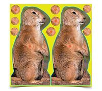 BIRCHWOOD CASEY Shoot N C Prairie Chuck 8" Target - 12 targets