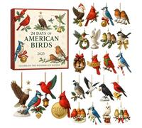 Bird Adventure Calendar 2025 - 9 Inch 2D Acrylic Christmas Countdown | Colourful Bird Ornament Set, 24 Day Christmas Decoration | for Tree Wall Window Car House Family