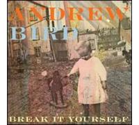 Bird, Andrew - Break It Yourself