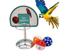 Bird Basketball Hoop Toy Interactive Activity Parakeet Gym 3 Bell Balls