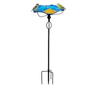 Bird Bath | Bird Bath Feeder, Birdy Smart Birds-Heavy Duty Vintage Pet Accesorios With Stand | For For Aviary Finch Monk Parrots Home Garden Backyard Courtyard Landscaping Park