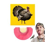Bird - Bird Caller | Turkey Bird | Caller Tongue | Bird Toys | Creation Props | Bird Whistles To Attract Birds | Tweeting Noisemaker | Novelty Toys & Amusement