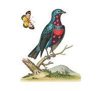 Bird Blue Spotted Art Print Canvas Premium Wall Decor Poster