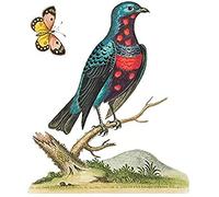 Bird Blue Spotted Unframed Art Print Poster Wall Decor 12x16 inch