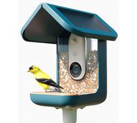 Bird Buddy 2.0 Smart Bird feeder with solar panel | ✅ Winterdeals