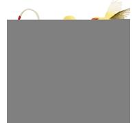 Bird Cage - 30x25cm Transparent Breathable Carrier Bag, Parrot Travel Backpack With Stand Perch, Ventilated Pet Transport | Outing Walk Outdoor Parakeets Cockatiels Budgies