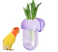 Bird Cage Bowls: Parent Bird Feeding Stations, Bird Container, Indoor House, Deluxe Feeders Station, Metal Feeding Pole with Ja