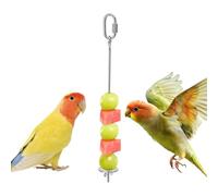 Bird Cage Feeder - Stainless Steel Fruit Skewer | Hanging Shelves | Treatment Forks Foraging Toy Tools for Budgies Turtle Doves and Cockatiels Pet Life