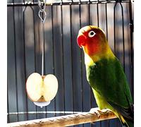 Bird Cage Feeder, Stainless Steel Multi Purpose Food Holder Stick with Top Catch Lock Design, Premium Quality Foraging Toy, Easy to Clean, for Cockatiel Budgerigar