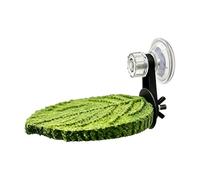 Bird Cage Perches - Suction Cup Rest Stand for Birds - Conure Perch for and Parakeets | Suitable for: Parakeets, Conures, Cockatoos, Lovebirds, Canaries, Finches