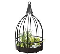 Bird Cage Succulent Planter Black