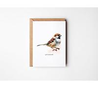 Bird Card, Blank Greeting Card, British Bird Wildlife, Watercolour Birds, All Occasion, Just Because, Thank You, Notecards, Sparrow