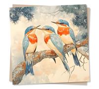 Bird Card, Kingfisher, Blank Nature, Note, Birthday, Greetings - for Women