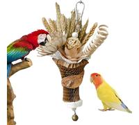 Bird Chew Toys,Parakeet Chew Toys,Conure Toy with Wheat Ears Bouquet Design | Bird Teething and Chewing Toys, Accessories for Birds