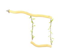 Bird Chewing Swing - Wooden Hanging Perch, Colourful Parrot Toy | Cage Entertainment Accessory for Cockatiel Budegerigar Lovebird Finches Mynah, Pet Supplies Training Ornament for Small