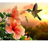 Bird Diamond Art Kits Adults Kids, 24x35 Inch Full Square Drill Flower 5D DY Diamond Painting with Complete Tools, Sparkling Rhinestone Gem Art Crafts Home Wall Decor Fun Craft Gift for Family FC-823