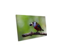Bird Eating Fruit Branch Green Canvas Wall Art Picture Print CanvasGeeks Green W30 inch x H20 inch x D20mm