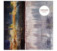 Bird Ensemble - Migration