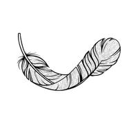 Bird Feather Sketch Vintage Decorative Feather Isolated in Wall Decals Paster Paper 34x60.6cm Easy Installation Black
