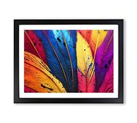 Bird Feather Splash Vol.2 Framed Print | A2 Black Framed Wall Art | Ready to Hang | Modern Nature Picture | Living Room Bedroom Lounge Office