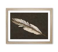 Bird Feather Vol.1 BLK Framed Print | A2 Oak Framed Wall Art | Ready to Hang | Modern Nature Picture | Living Room Bedroom Lounge Office