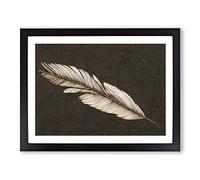 Bird Feather Vol.1 H1022 BLK Framed Print for Living Room Bedroom Home Office Décor, Wall Art Picture Ready to Hang, Black A2 Frame (64 x 46 cm)