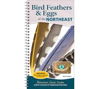 Bird Feathers & Eggs of the Northeast: Identify 40 Species of Common Backyard Birds (Adventure Quick Guides)