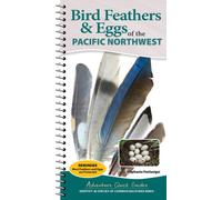 Bird Feathers & Eggs of the Pacific Northwest : Identify 40 Species of Common Backyard Birds