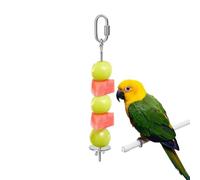 Bird Feeder Toy - Stainless Steel Treat Holder, Feeding Basket for Cage, Vegetable Skewer, Feeder for Fruit Sticks, Seed Dispenser for Parrots, Learning Cage Accessories for Cockatiels, Parakeets