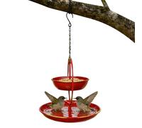 Bird Feeders for Outdoors Iron Vintage Heart Water Bowl
