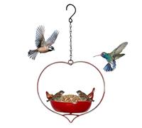 Bird Feeding Station, Iron Heart-Shaped Ornaments, Decorative Bird Feeder, for Backyard, Landscaping, Patio, Watching, Viewing, Pet Aviary, Finch, Parrots, Inside Home, Garden, Outdoor Decor