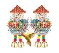 Bird Feeding Toy - Colorful Hanging Bite Chewing, Shredding Toys 2 Pieces - Stimulating Play for Parrot and Cockatiel, Entertainment Tool for Small Pets, Daily Concentrate