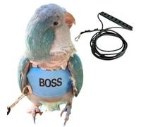 Bird Flight Harness Vest, Parrot Flight Suit with Leash, Bird Flying Clothes with Rope and Handle for Outdoor Activities (2XL)