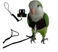 Bird Flight Harness Vest, Parrot Flight Suit with Leash for Parakeets Cockatiels Conures Budgies, Bird Flying Clothes with Rope and Handle for Outdoor Activities Training, Anti Bite (X-Large)