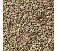 Bird Food - Sunflower Hearts, High in Oil and Energy, No Mess, Great for Hanging Feeders, Bird Tables, and Ground Feeding, Bulk Bag (20kg) - Buzzby’s