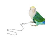 Bird Foot Chain Flying Stainless Steel Training Rope Outdoor Parrot Ankle Foot Ring Accessories Bird Harness Leash Prevent Escaping (6#)